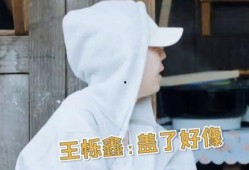 张远爆料王烁鑫视频,真相与争议并存