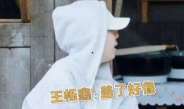 张远爆料王烁鑫视频,真相与争议并存
