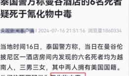 最新事件爆料完整版,独家爆料完整版深度解析