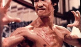 爆料李小龙皮肤视频大全,经典动作电影角色全解析