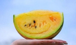 云南网红吃瓜视频,揭秘当地特色美食与风土人情