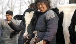 黄渤电影斗牛在线观看