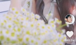 抖音爆料赵丽颖事件视频,真相揭秘，网友热议