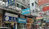 夏湾宠物街最新爆料,独家爆料揭秘宠物街最新潮流趋势