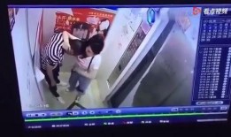 内娱狗哥爆料视频在线观看,内娱幕后真相大揭秘