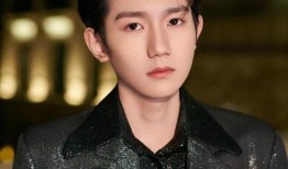 娱乐圈爆料王源发展,娱乐圈爆料王，星途璀璨再升级