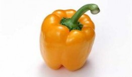 吃瓜系列雪圈网红