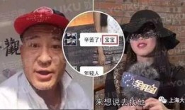赵四爆料全集完整版视频,揭秘娱乐圈不为人知的秘密