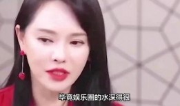 大胆爆料娱乐圈小说,揭秘明星背后的秘密与真相