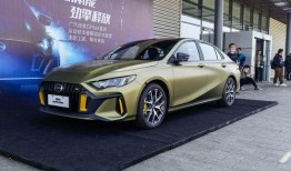 瑞豹最新款爆料车