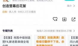 爆料大鹅解说视频网易,网易爆款背后的秘密