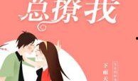 吃瓜小宋小说后续免费阅读,揭秘瓜田背后的风云变幻