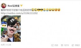 鬼才吃瓜小说免费阅读,揭秘娱乐圈背后的惊天秘密