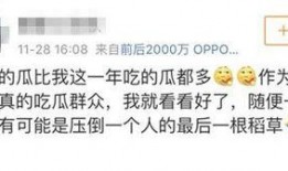 娱乐吃瓜不想停,吃瓜不停，精彩不断！