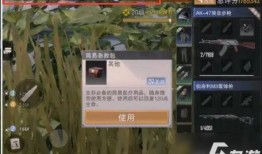 代号生机如何看新闻爆料