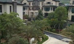 开封李先生最新爆料电话,揭秘电话背后的惊人真相