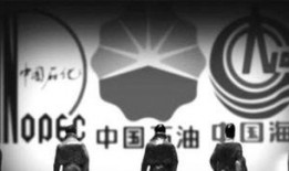 石油高管爆料视频播放,视频曝光行业内幕