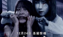 恐怖电影爆料视频大全,恐怖电影爆料视频大全深度解析