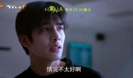 欲祸 在线观看,揭秘暗流涌动的阴谋世界