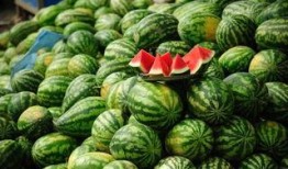 吃瓜系列雪圈网红