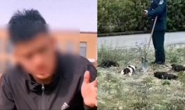 学生发视频爆料学校,揭秘校园内幕，真相令人震惊！”