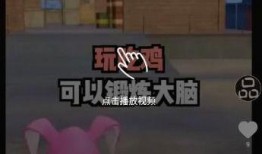 爆料小视频下载,下载背后的真相与争议