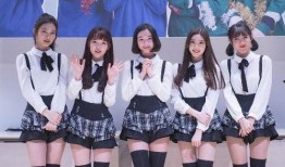 女团成员爆料娱乐圈小说,女团成员揭秘幕后真相