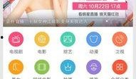 双十一爆料明星是谁啊视频,明星阵容曝光，揭秘幕后爆料真相