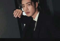 刘大锤爆料男团视频