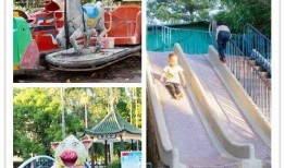 中山公园直播爆料最新视频,揭秘最新热门事件幕后真相