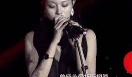 汪峰爆料前妻视频,揭秘婚姻背后的真相