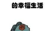 圆谷一夫最新爆料,最新动态揭示奥特曼宇宙新篇章