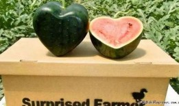 最新的瓜爆料广州,揭秘城市热点事件背后的真相