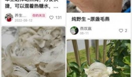 假燕窝事件最新爆料,揭秘最新爆料背后的真相与争议