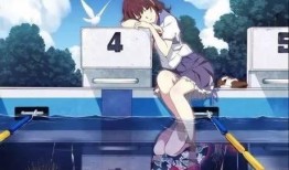 大刺客烟花爆料视频大全,揭秘烟花盛宴背后的精彩瞬间