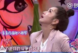 苏醒何洁爆料视频,娱乐圈背后的惊人真相
