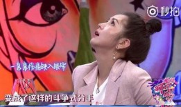 苏醒何洁爆料视频,娱乐圈背后的惊人真相