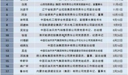 广西水电最新爆料信息,揭秘水电项目新进展与挑战