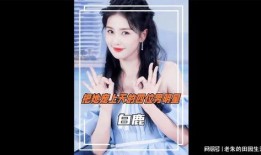 明星爆料白鹿视频播放下载