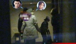 日本爆料恋情视频大全集,视频大全集深度解析