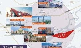 向靖爆料视频大全集最新,揭秘娱乐圈不为人知的秘密与真相