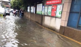 解放路学校爆料视频最新,揭秘校园内幕引发热议