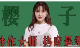 赵姐最新爆料新闻,最新爆料新闻背后的惊人真相