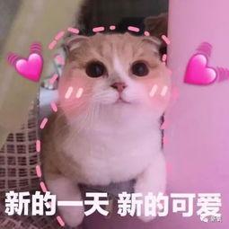 羊了个羊吃瓜娱乐,吃瓜娱乐背后的网络狂欢